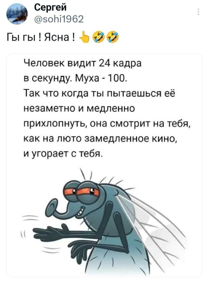 Не ищите здесь смысл. Здесь в основном маразм