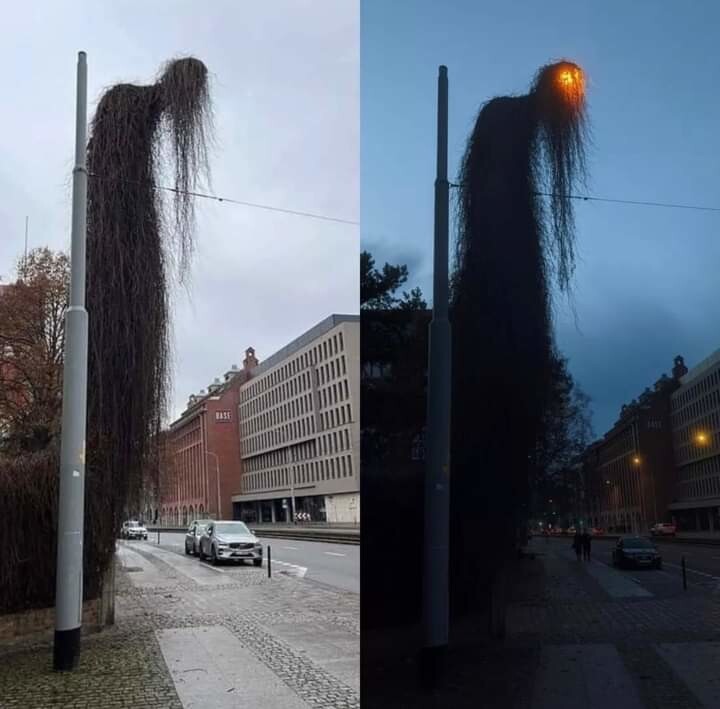 Всё вразнобой 