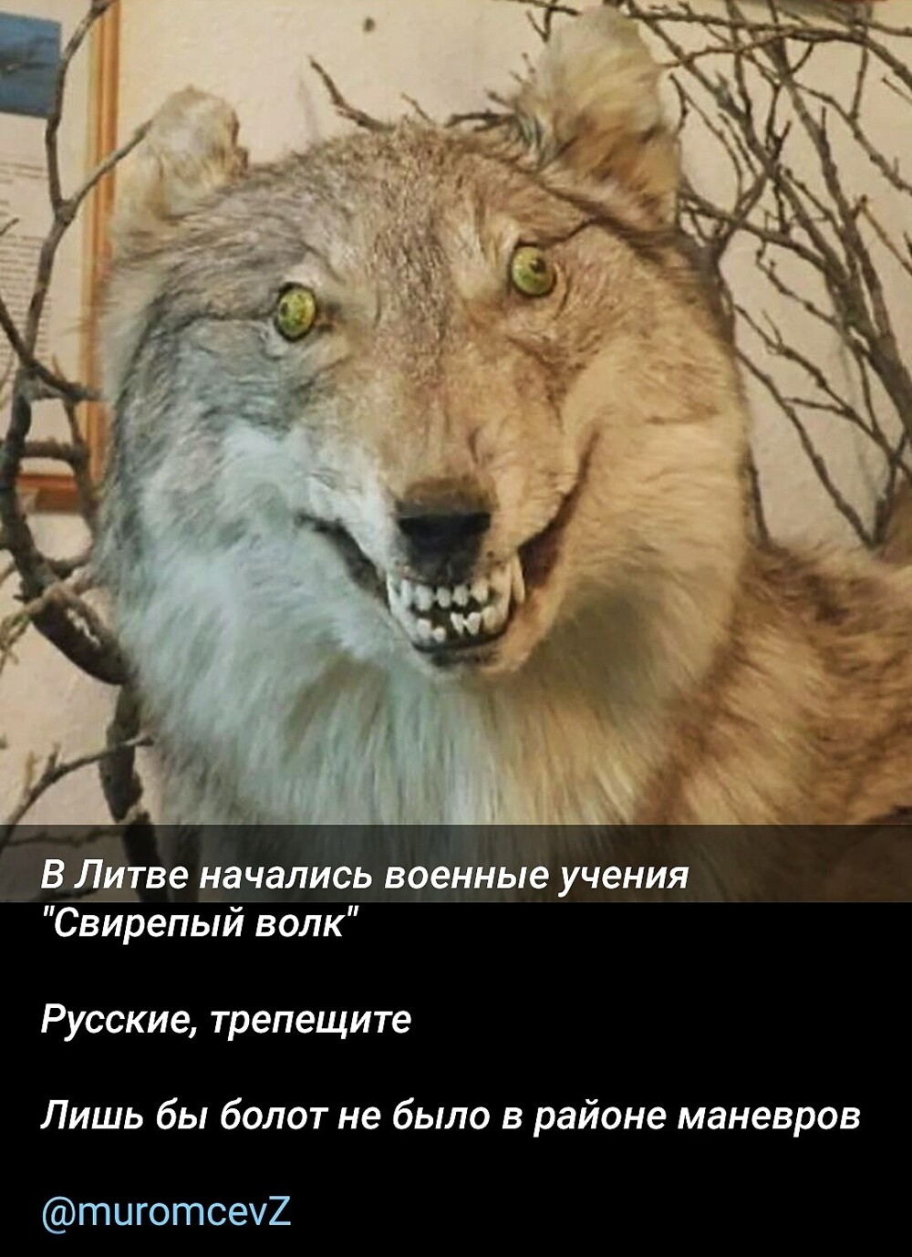 Может лишь не о политике
