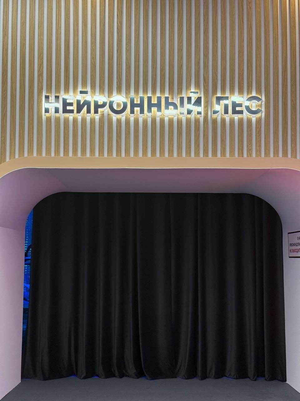 Чем заняться в Гостином Дворе до 14 сентября