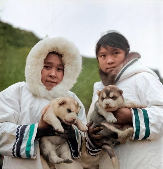 Подборка смешных и забавных фотографий с собаками, которые поднимут настроение