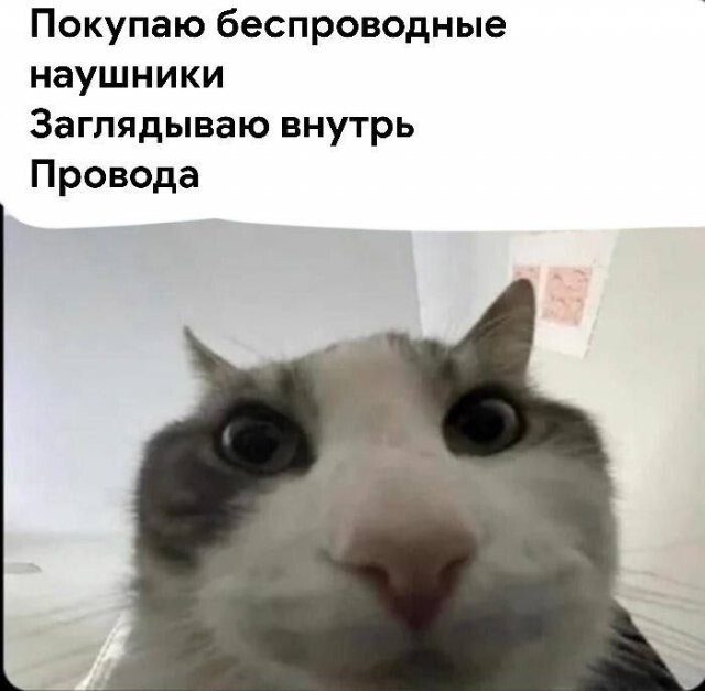Скрины из соцсетей