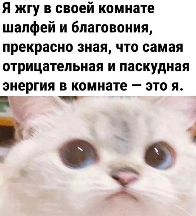 Скрины из соцсетей