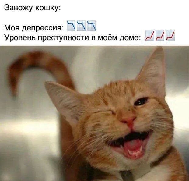 Скрины из соцсетей