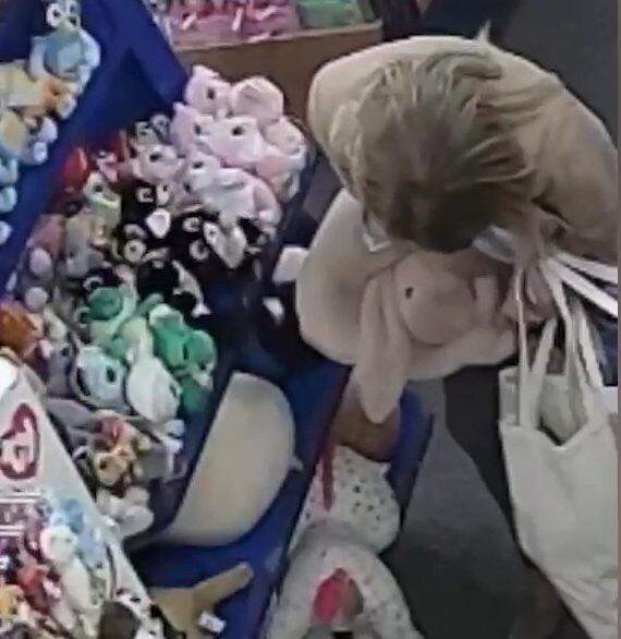 В Великобритании воровка набила штаны мягкими игрушками