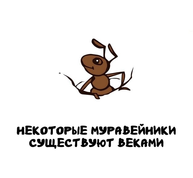 А вдруг ты не знал…
