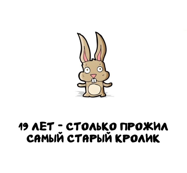 А вдруг ты не знал…