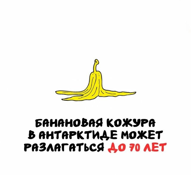 А вдруг ты не знал…