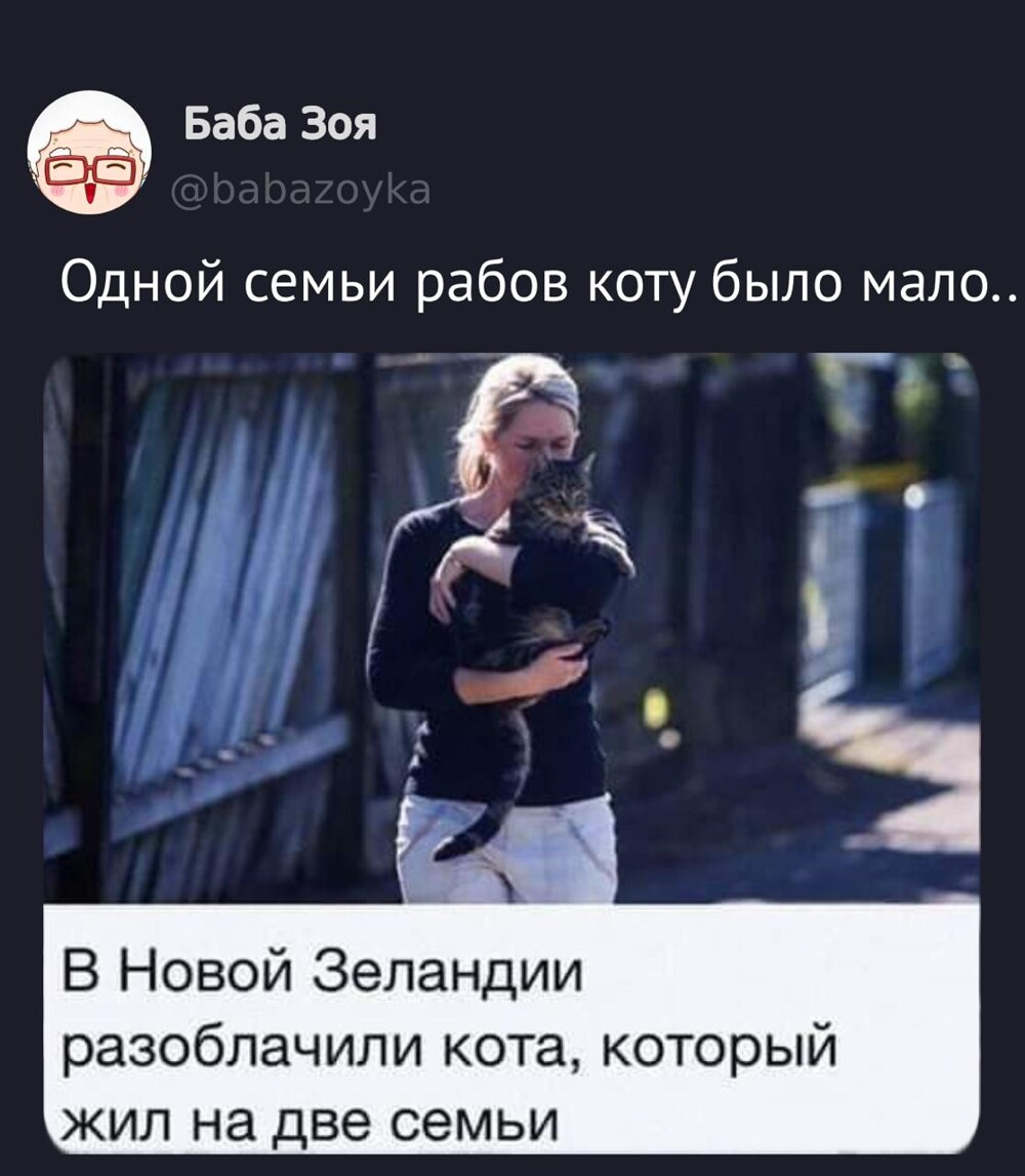 Смешные картинки