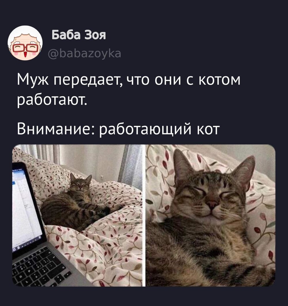 Смешные картинки