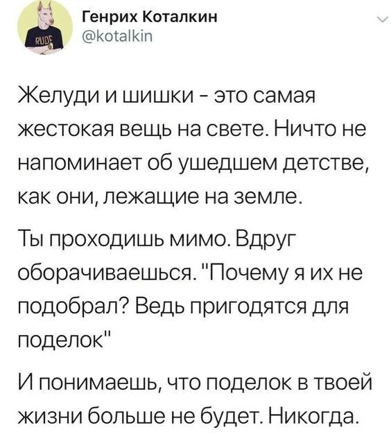 Смешные картинки