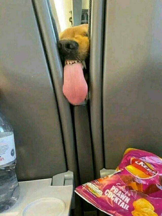 Намешалось