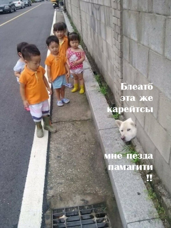 Не ищите здесь смысл. Здесь в основном маразм