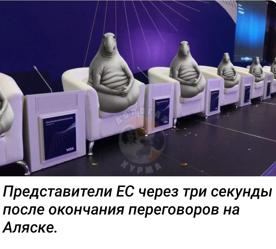 Новости нашего мира