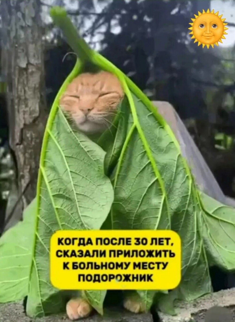 Улыбаторчик