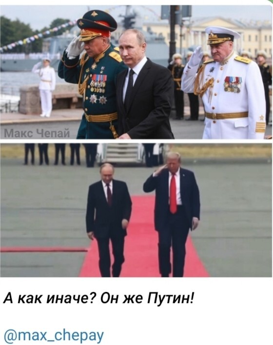 Базовый инстинкт!