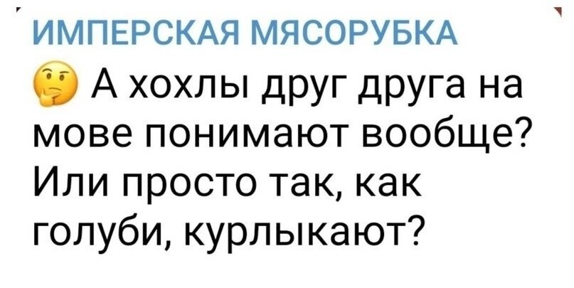 Об Аляске и не только