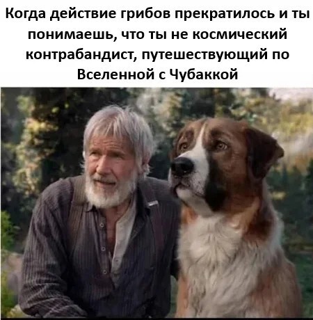Смешные картинки