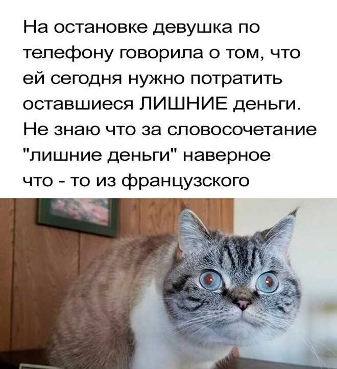 Смешные картинки