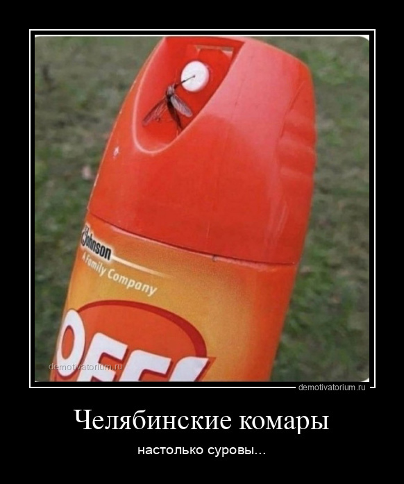 Челябинские комары настолько суровы..