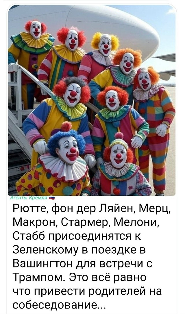 Трамп разрешил подтанцовке Зеленского, состоящей из Рютте, Макрона, Ляйен, Стубба и других перепуганных европейских опущенцев, поддержать своего любимца прямо за воротами, подальше от Белого дома.