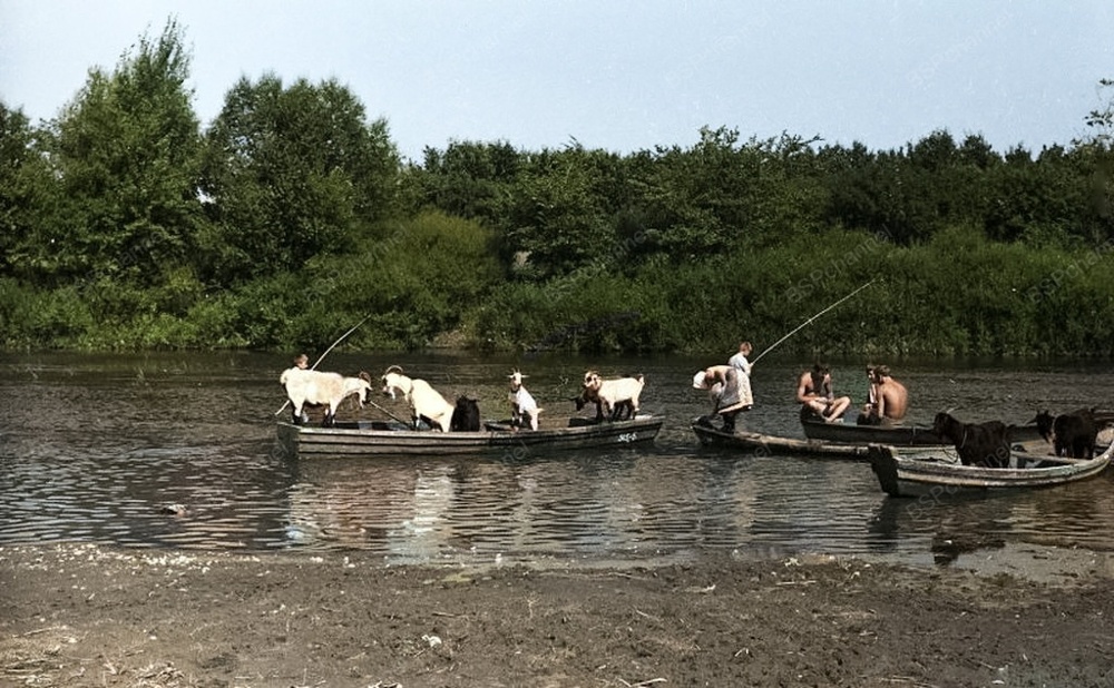Подборка душевных и ярких фотографий деревенской жизни в СССР
