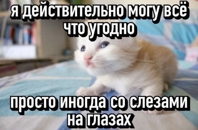 Скрины из соцсетей