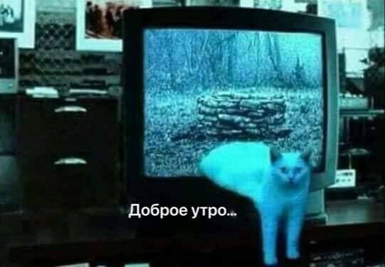 Скрины из соцсетей