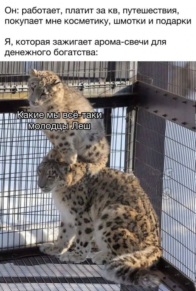 Скрины из соцсетей