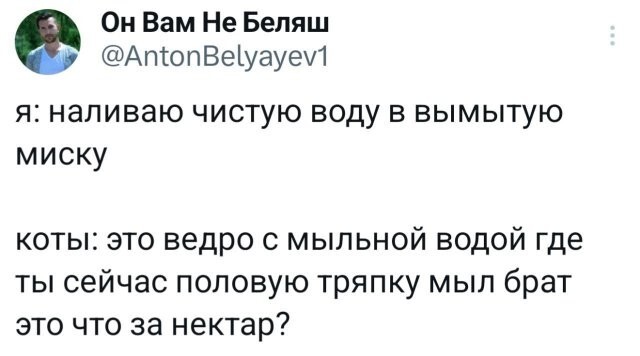 Скрины из соцсетей