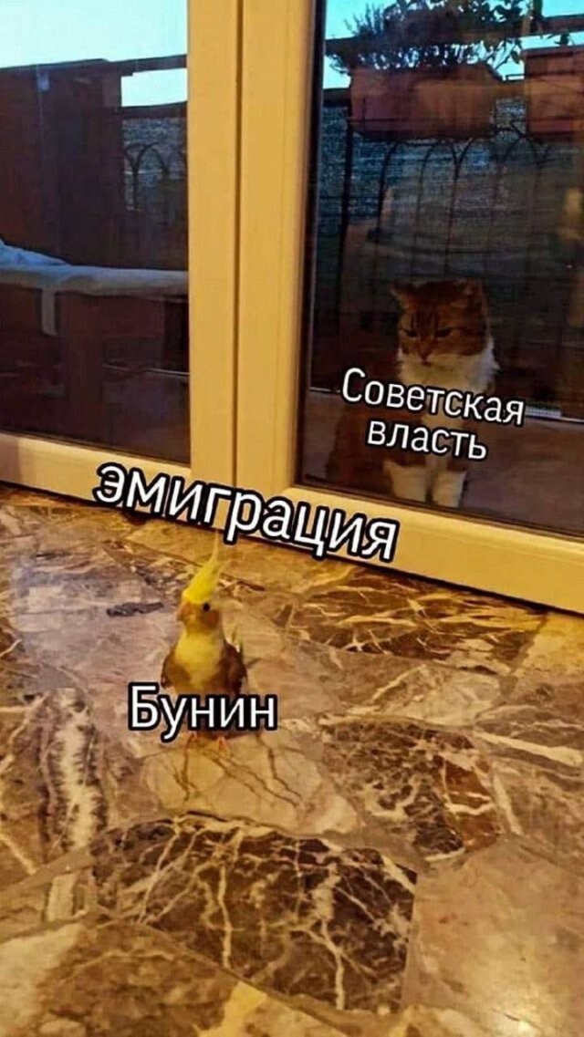 Скрины из соцсетей