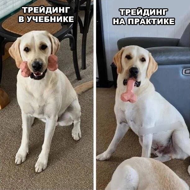 Скрины из соцсетей