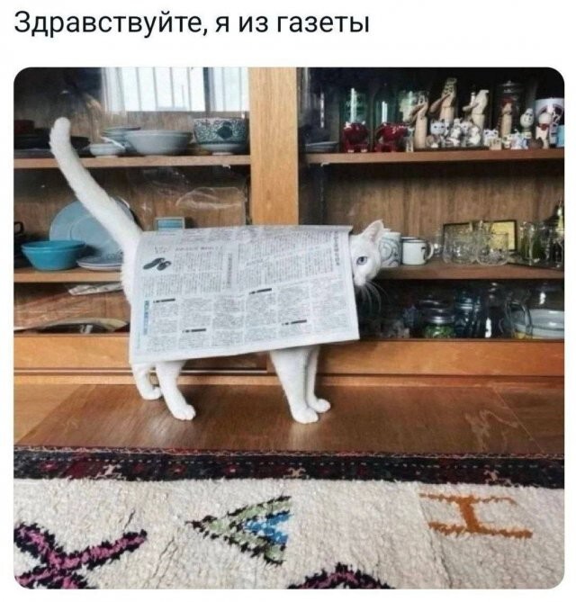 Скрины из соцсетей