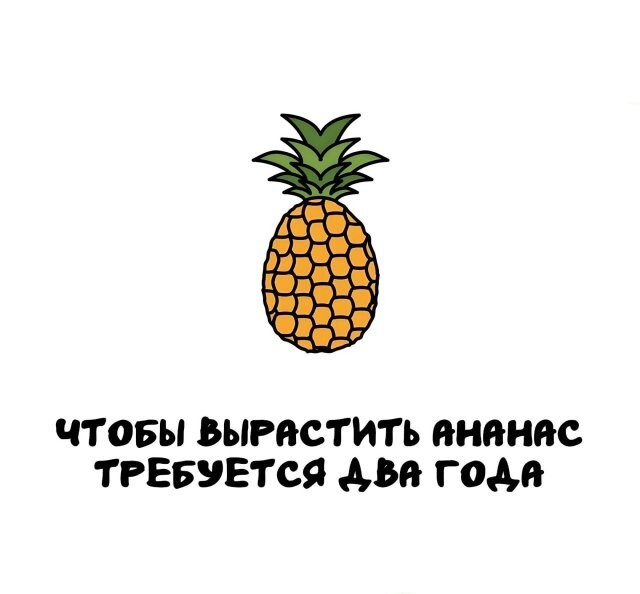 А вдруг ты не знал…