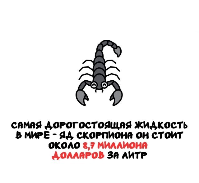 А вдруг ты не знал…