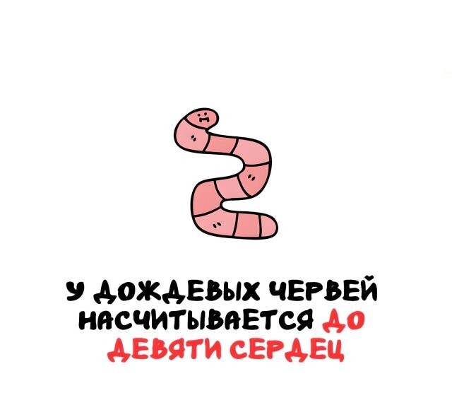 А вдруг ты не знал…