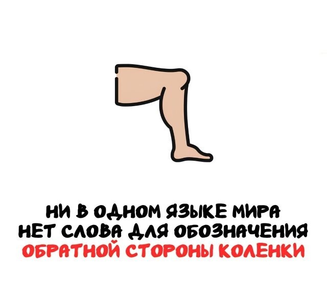 А вдруг ты не знал…