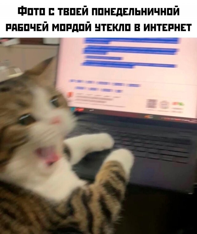 Намешалось