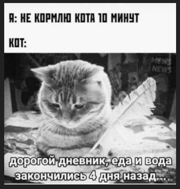 Не ищите здесь смысл. Здесь в основном маразм