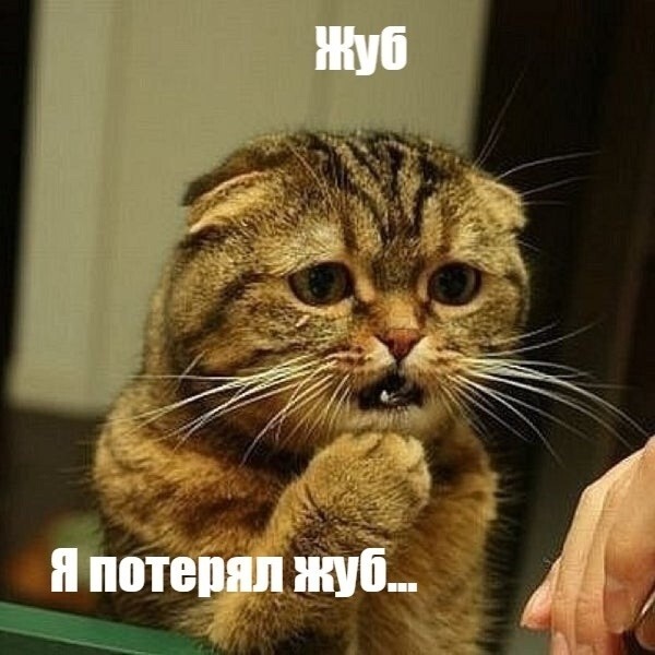 Не ищите здесь смысл. Здесь в основном маразм