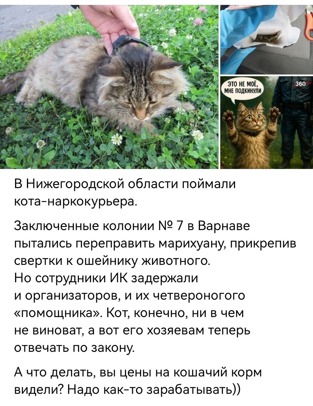 Привет, агрессоры!!! Всем отличного вечера!!!