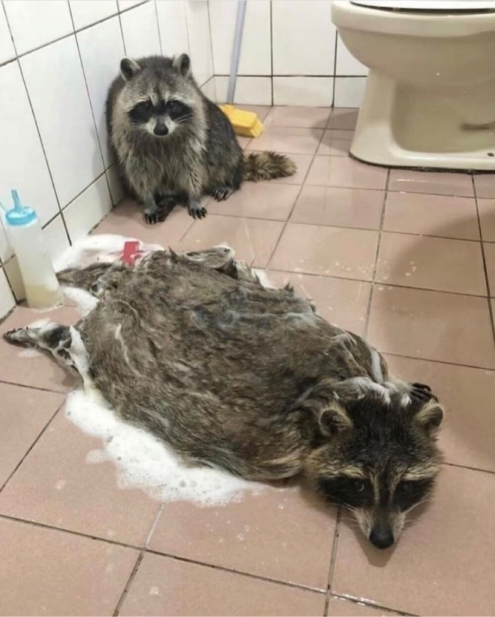 На общую тему 