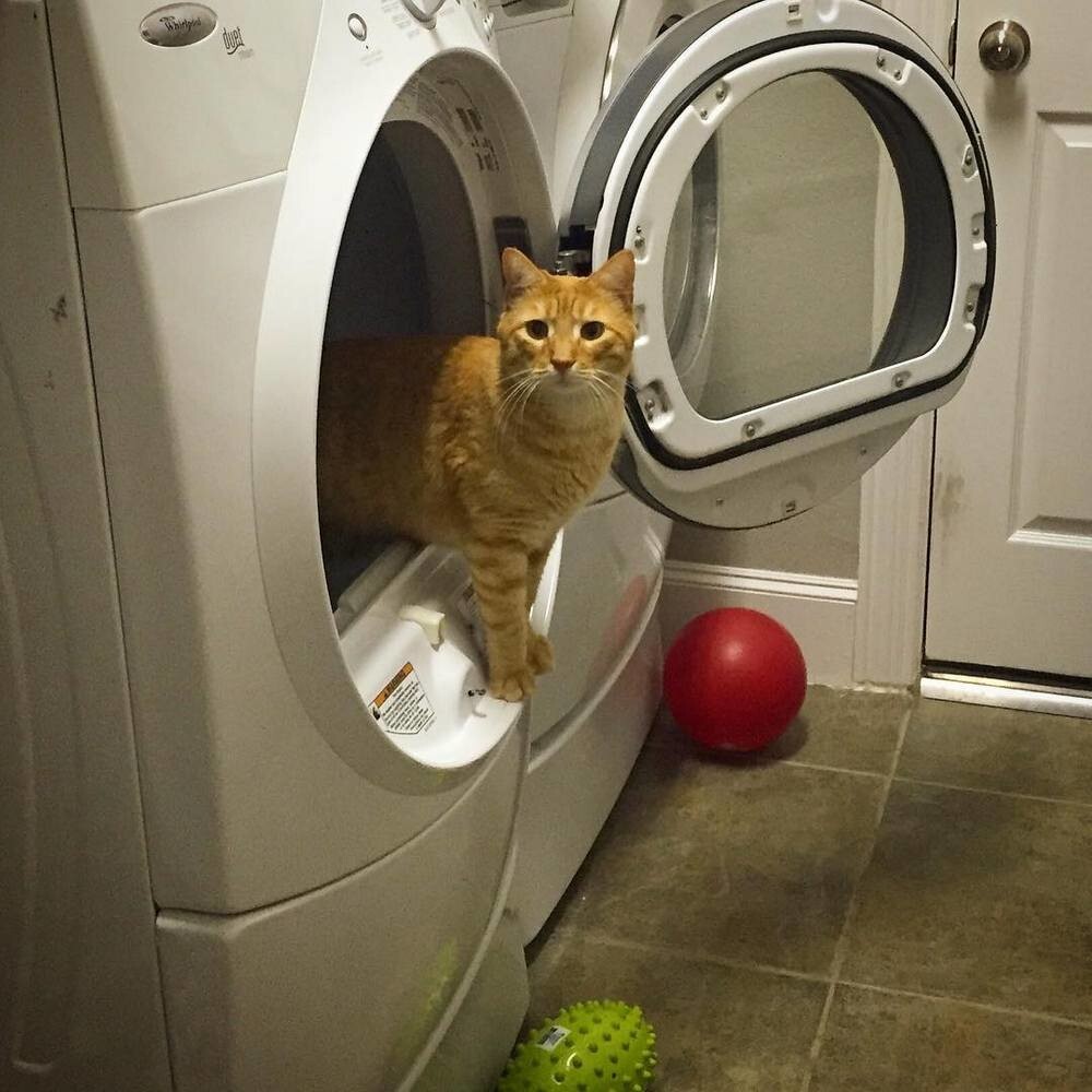 На общую тему 