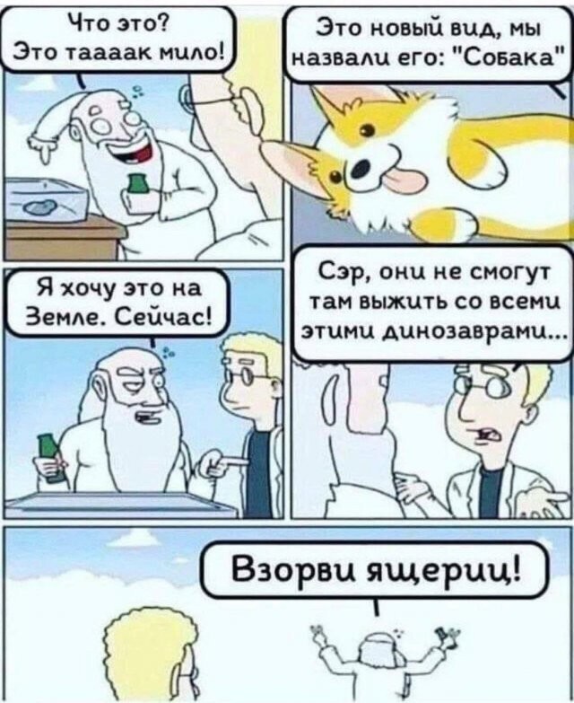 Скрины из соцсетей