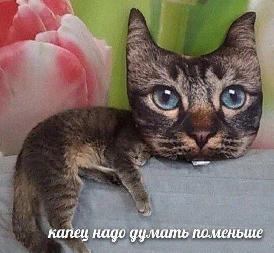 Скрины из соцсетей