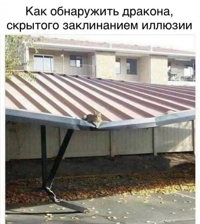 Скрины из соцсетей