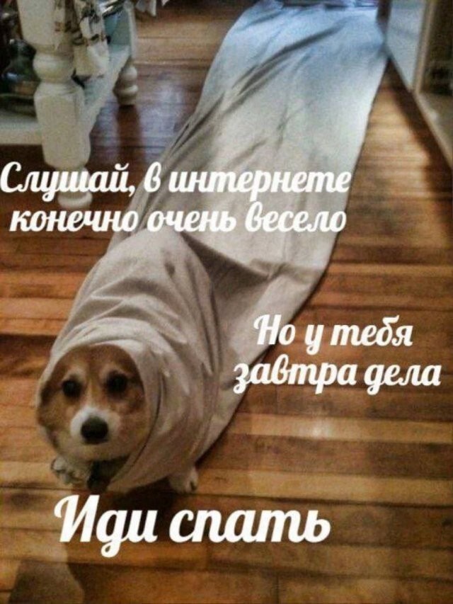 Скрины из соцсетей