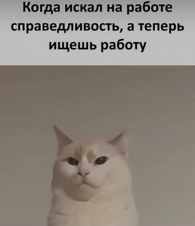 Скрины из соцсетей