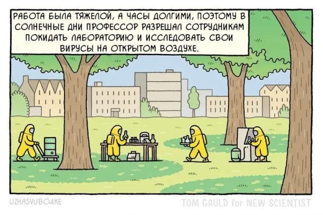 Скрины из соцсетей