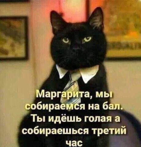 Скрины из соцсетей